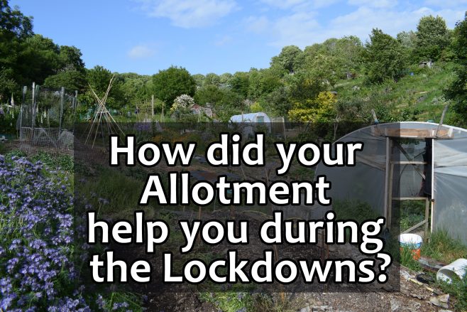 Did your allotment help you during the lockdowns?