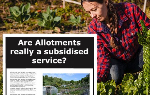 The Value of Allotments