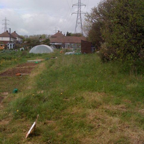 First photos of my first allotment!
