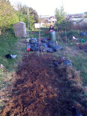 My new allotment 43/2 St Louie Portslade!