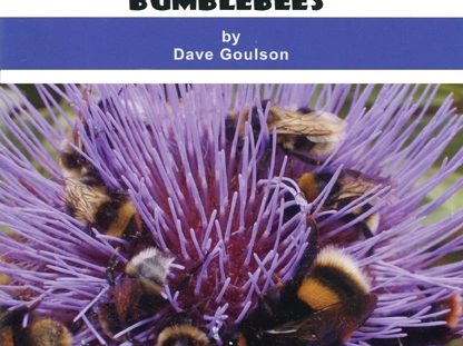 Gardening for Bumblebees by Dave Goulson