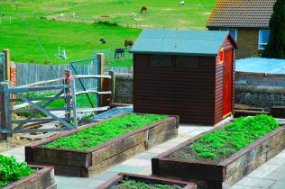 Allotments for gardeners with disabilities