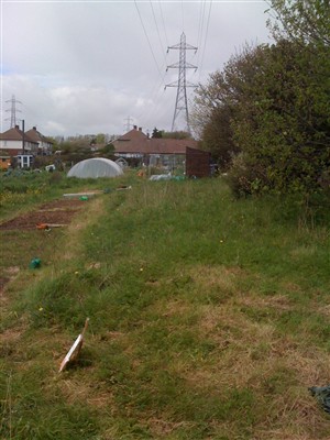 My new allotment 43/2 St Louie Portslade!